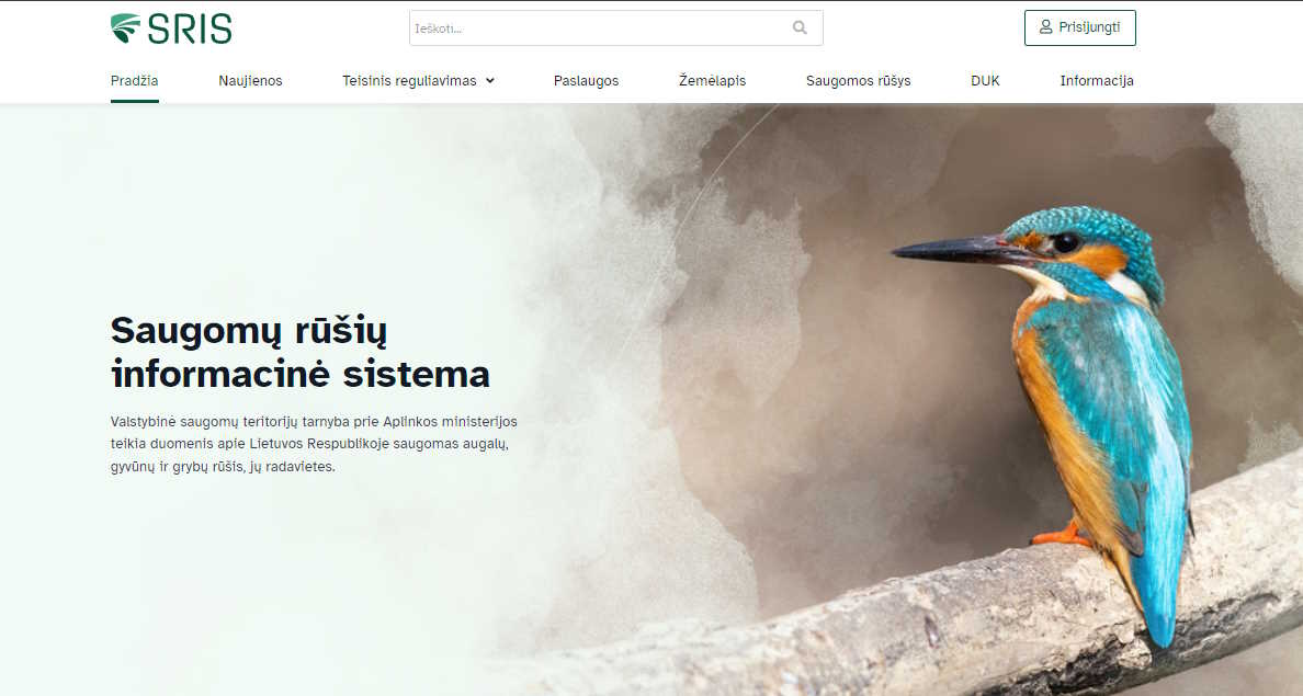 project_image